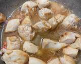 Chicken & Rice recipe step 2 photo