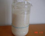 A picture of step 10 of Sake Lees Yeast - Liquid Bread Starter.