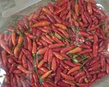 2015 vinegar hot pepper sauce recipe step 2 photo