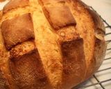 A picture of step 4 of Basic Pizza Dough in the Bread Maker.