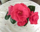 Foto del paso 2 de la receta: Dulce de rosas
