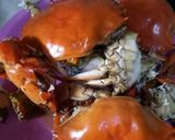 Foto langkah ke 1 dari resep Kepiting saos padang ulalaaa.