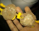 A picture of step 8 of Baked black chana sprouted modak.