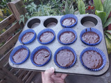 Muffins de chocolate 🍫🤩