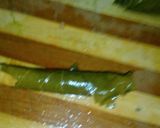 A picture of step 6 of Stuffed Grape Leaves (My Way).