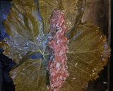 A picture of step 5 of Stuffed grape leaves.