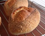 A picture of step 13 of Aromatic Poppy Seed Hard Rolls.