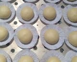 Foto langkah ke 3 dari resep Bakpao tips and trik.