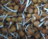 अंकुरित चना (Ankurit Chana recipe in hindi) रेसिपी चरण 1 फोटो
