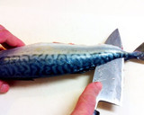 A picture of step 13 of How to Fillet a Whole Fish.