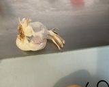 Une image de l'étape 5 de Purée de pommes de terre au gingembre, ail, curcuma et coriandre.