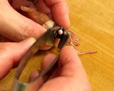 A picture of step 2 of Firefly Squid with Spicy Mustard & Vinegar-Miso Sauce.
