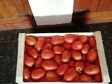 Puré de tomates hecho en casa