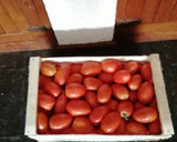 Foto del paso 1 de la receta: Puré de tomates hecho en casa