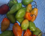 Foto langkah ke 1 dari resep Tumis cabe gendot 🔥.