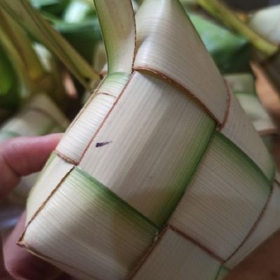 Langkah 4