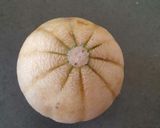 A picture of step 1 of Cantaloupe sherbet.