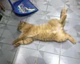 รูปขั้นตอนการทำที่ 5 ของ ขนมปังกล้วยหอมอัลมอนด์นึ่ง
