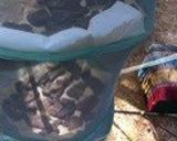 A picture of step 4 of Make This At Camp! Homemade Beef Jerky.