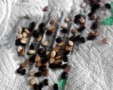 A picture of step 4 of Toasted Watermelon Seeds.