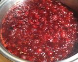 Foto del paso 5 de la receta: Salsa de Arándanos Rojos