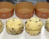 義式聖誕麵包-潘納托尼Panettone 2025的食譜步驟7照片