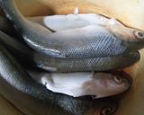 Foto langkah ke 1 dari resep Pindang Ikan Bandeng.
