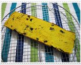 A picture of step 4 of Okara, Soy Milk and Kabocha Cake.