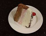 Chocolate / Rasberry / White Chocolate No Bake Cheesecake recipe step 26 photo