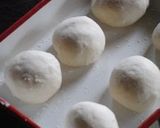 A picture of step 5 of Chewy Naan with Homemade Yeast.