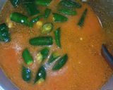 Foto langkah ke 3 dari resep Lodeh Tahu, Tempe, Cecek.