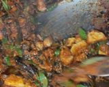 Foto langkah ke 5 dari resep Rica Belut Kemangi.