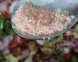 A picture of step 5 of Totapuri Mango Salsa : super quick and easy recipe.