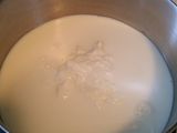 Homemade Ricotta Cheese