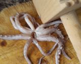 Foto del paso 1 de la receta: Rejos de pota fritos