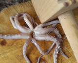 Foto del paso 1 de la receta: Rejos de pota fritos