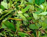 A picture of step 1 of Bathua thepla.