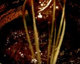 Hình bước làm 1 của món Brazilian Chocolate Fudge