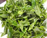 A picture of step 3 of Home-Grown Fresh Green Tea: How to Process Freshly Picked Green Tea Leaves In a Microwave.