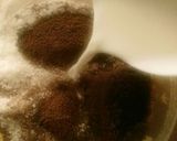 صورة لخطوة 8 من وصفة 🍪👌حلى راس العبد 👌🍪