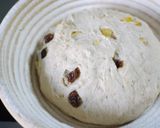 A picture of step 5 of Walnut and Dried Fruit Bread with Rye Flour Kneaded In a Bread Machine.