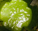 Foto del paso 2 de la receta: Pasta Fusilli en Salsa Pesto Espinaca Albahaca!