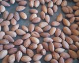 A picture of step 3 of Activated x roast almond.