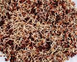 A picture of step 3 of Ragi Sprouts, Fresh Coconut, Jaggery Sweets.
