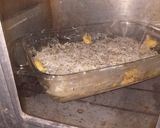 Foto langkah ke 4 dari resep Potato Au Gratin.