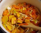 A picture of step 2 of Mild Tasting Cinderella's Pumpkin Soup.