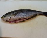 A picture of step 1 of How to Prepare Isaki (grunt).