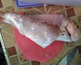 Foto langkah ke 1 dari resep Krisi Bali asam manis sedaapp.