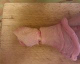 A picture of step 3 of Turkey legs, many variants!!!.