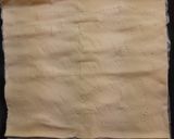 Foto del paso 1 de la receta: Empanada tropical